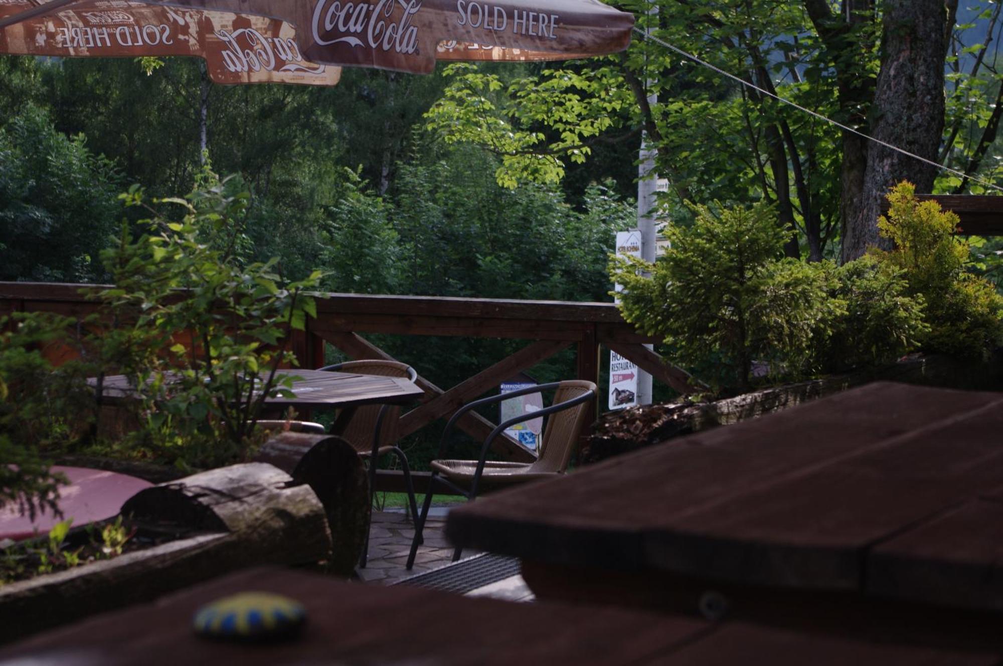 Penzion Avalanche Zelezna Ruda Exterior photo