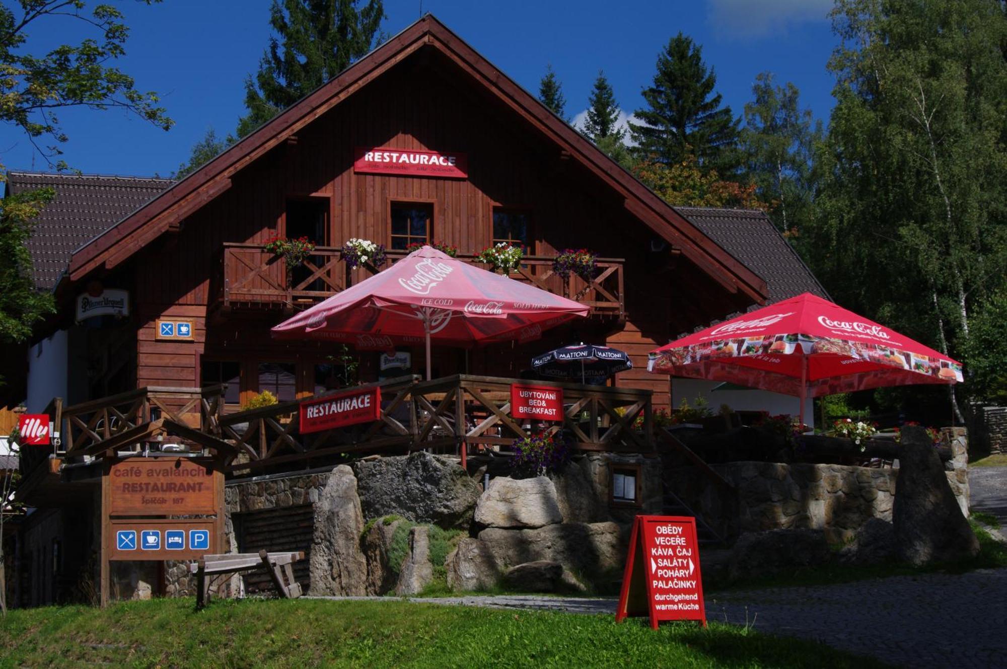 Penzion Avalanche Zelezna Ruda Exterior photo